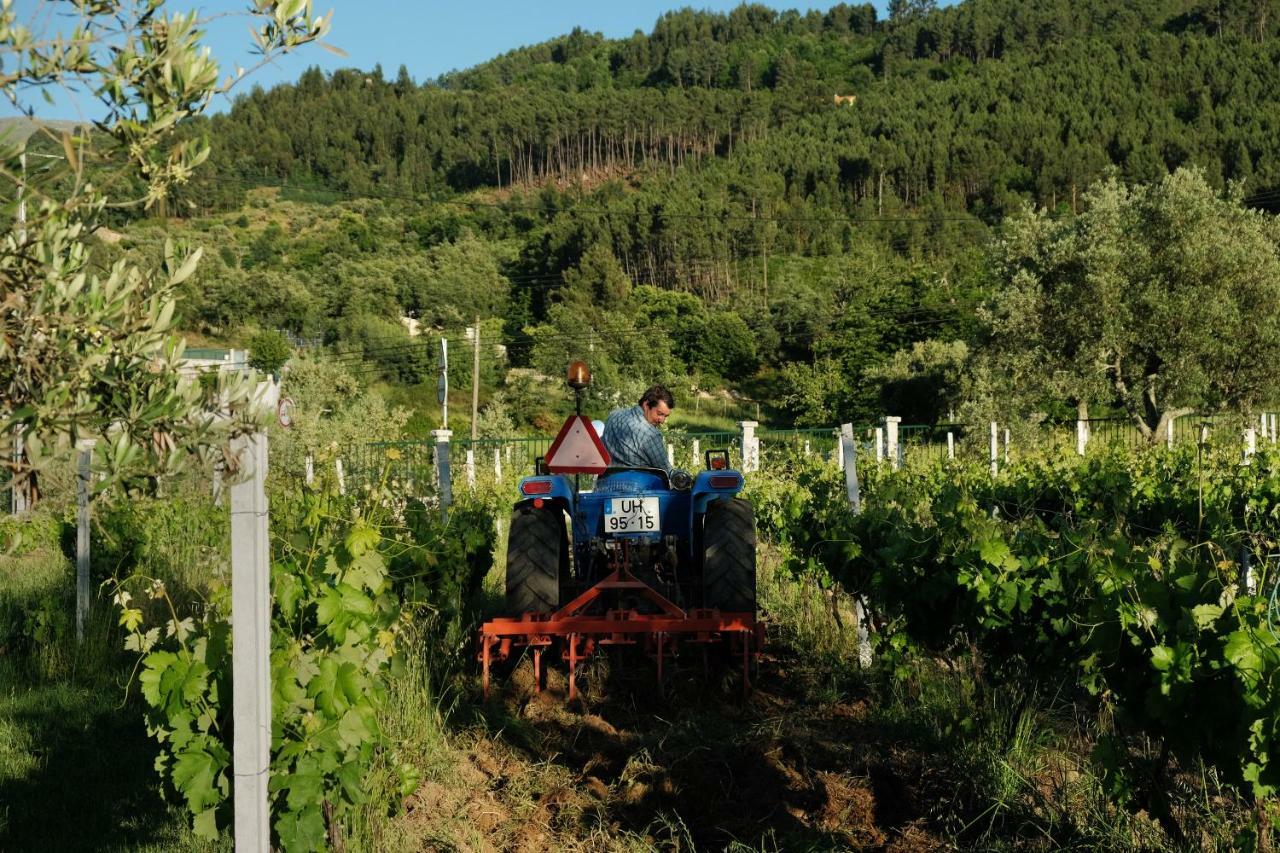 Quinta De Vodra Seia