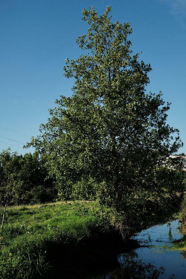 Quinta De Vodra Seia